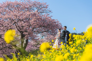 春を先取り！河津桜プラン！