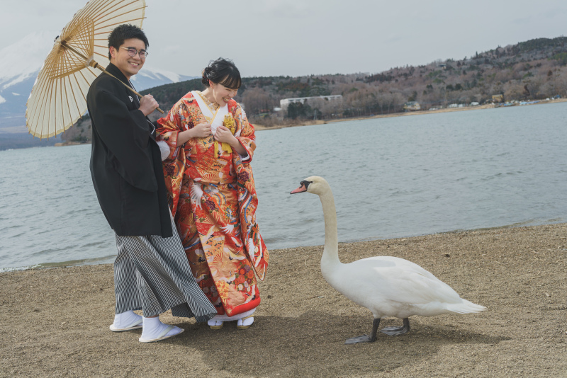 お二人に近づく白鳥が。