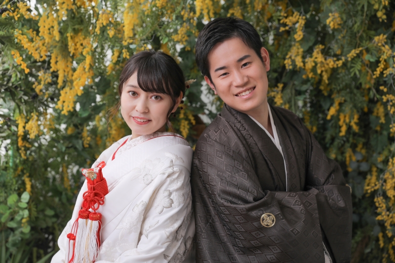 ミモザの背景で