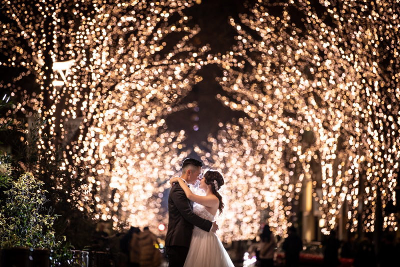 この時期しかないイルミネーション