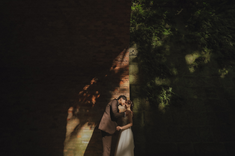 木漏れ日が綺麗だったので