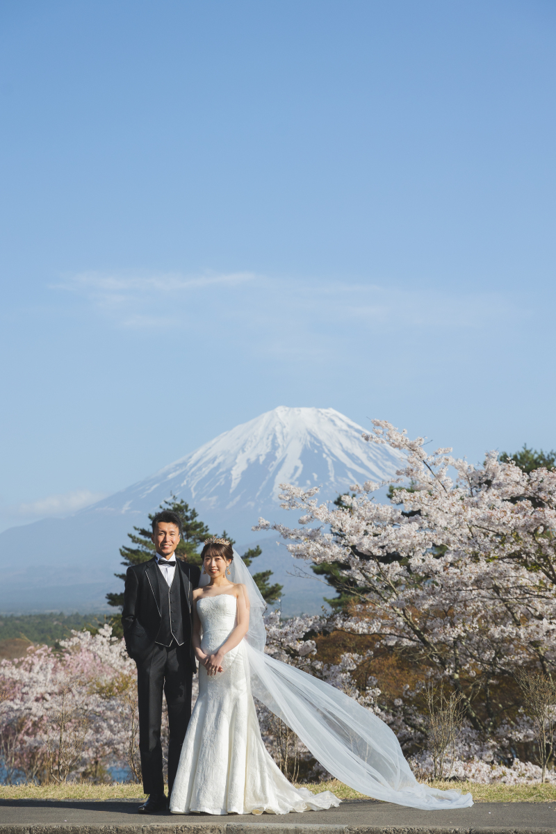 桜と富士山と青空とベールと