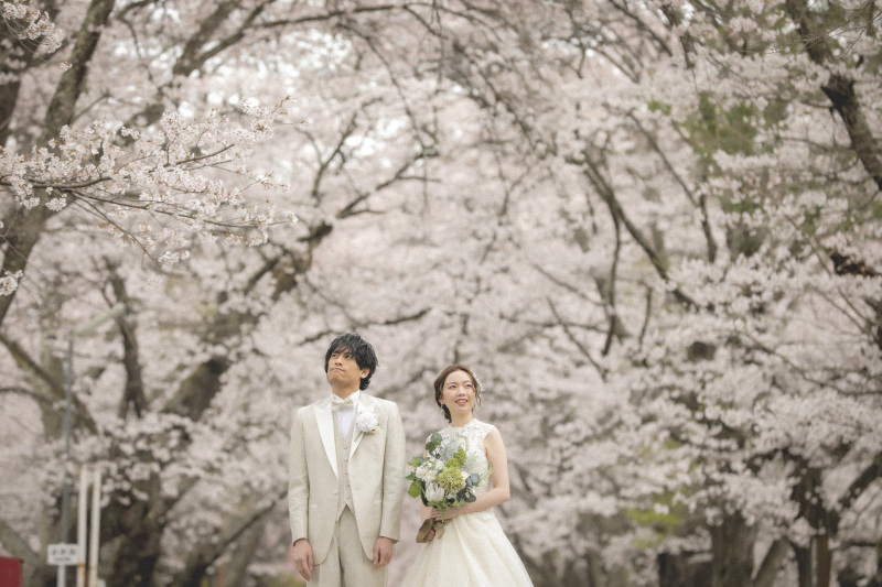 最後は桜を求めて秘密の場所へ