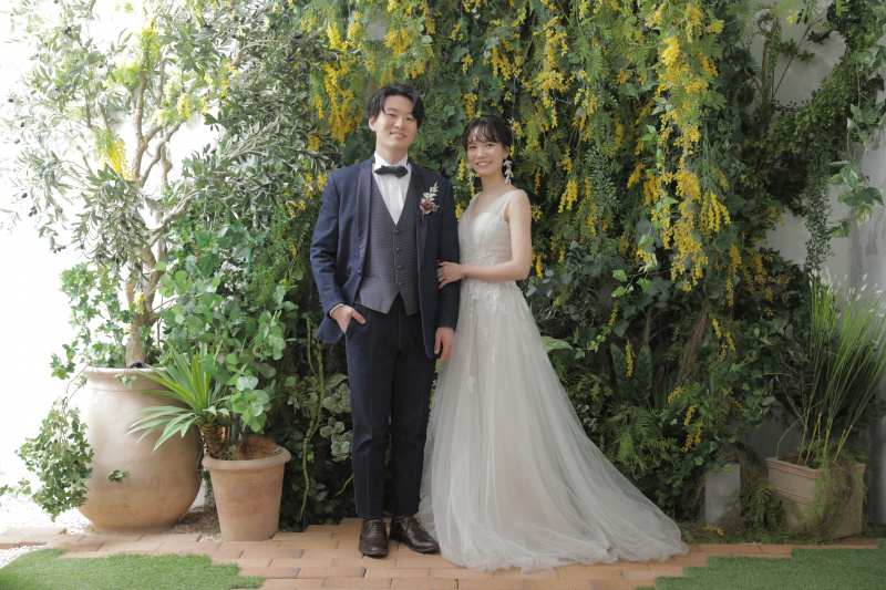 ミモザのお写真も