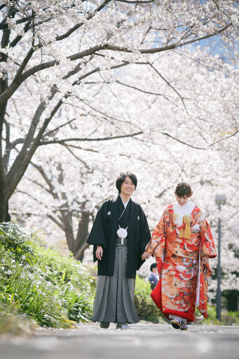 桜の季節到来♫