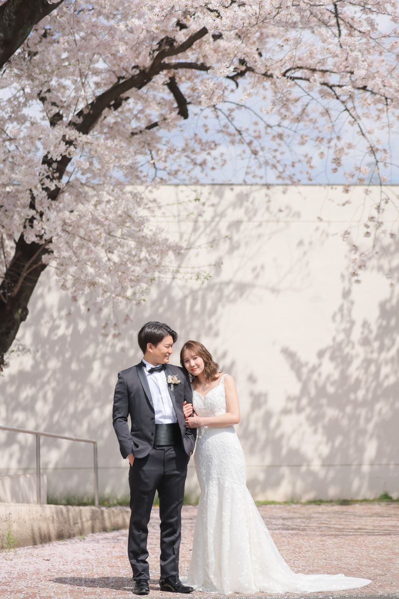 大きな桜の木と一緒に