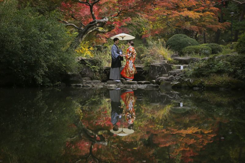 この時期しかとれない最高の一枚