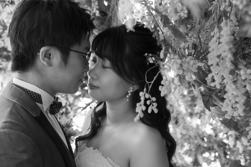 モノクロ写真も