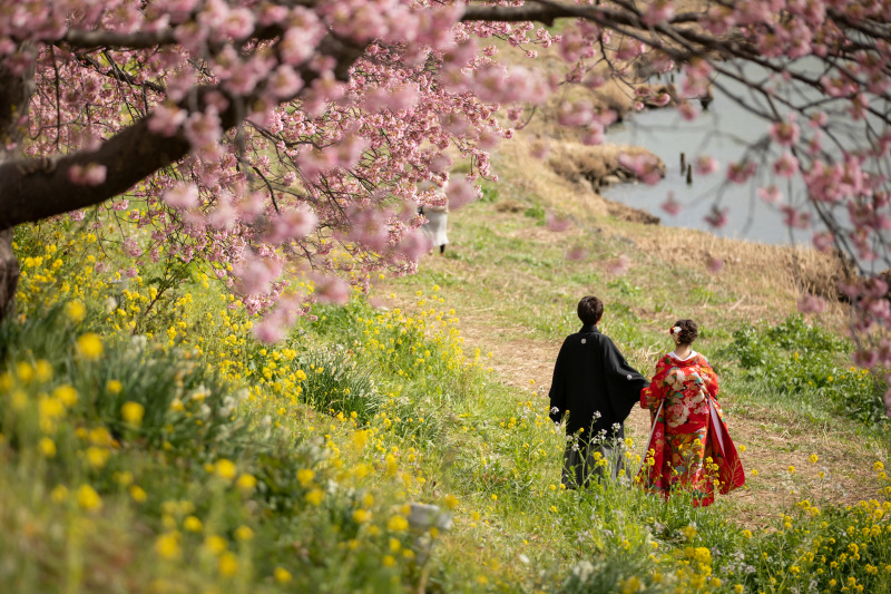 伊豆河津桜といえば