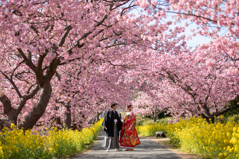 お花との撮影は気分も上がりますよね*