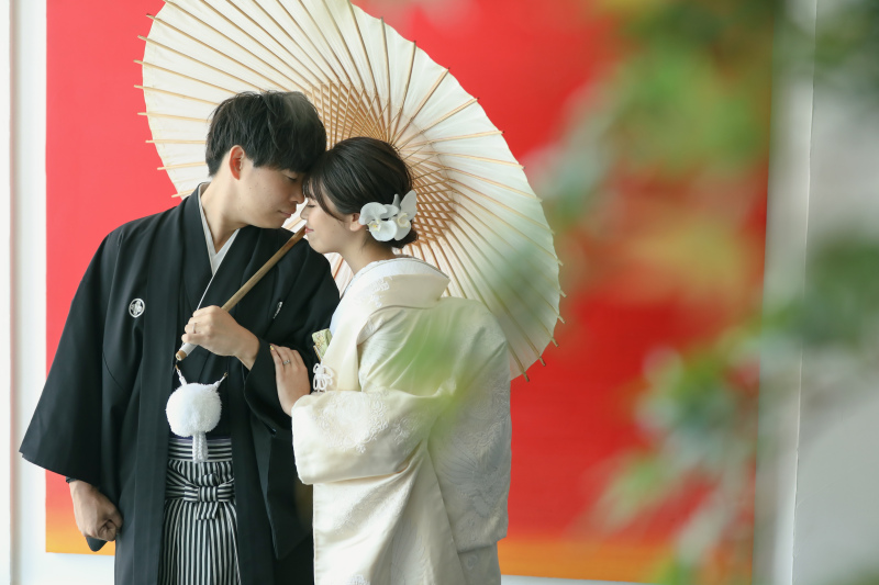 屋内庭園スタジオ