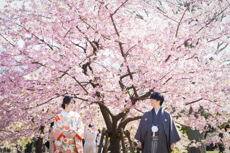 羨ましいほどの色鮮やかな桜色