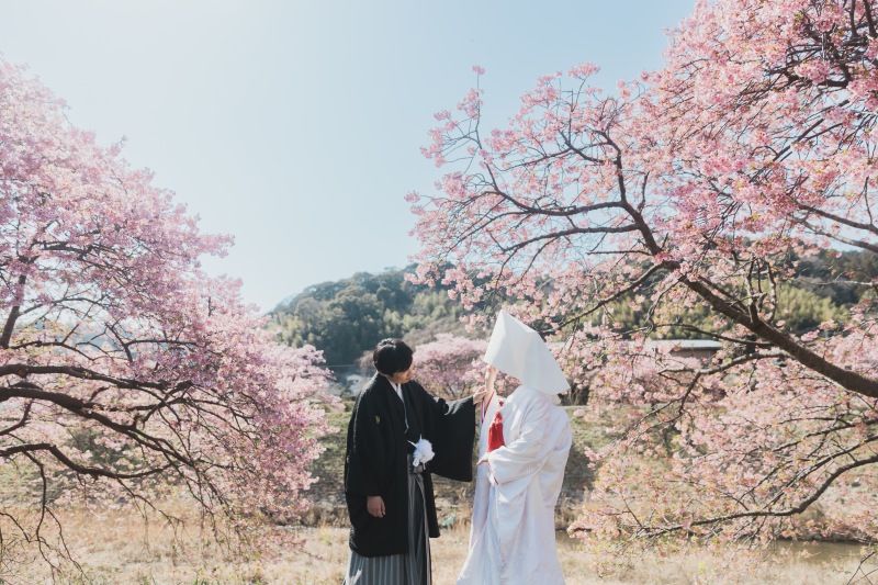 綿帽子をつけて。