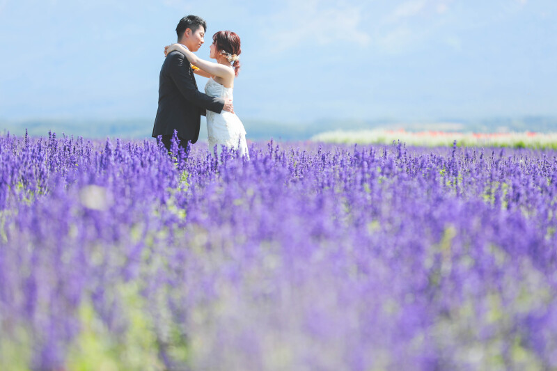 ブルーサルビアと一緒に。