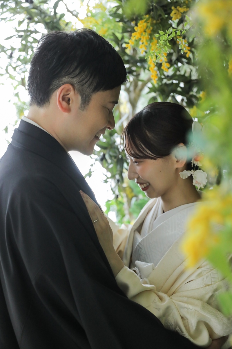 ミモザに包まれて