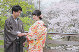 ソメイヨシノをバックに