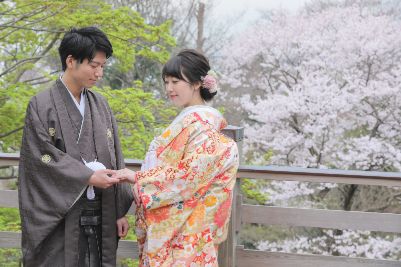 ソメイヨシノをバックに