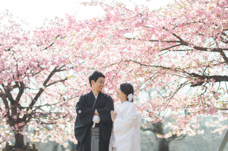 柔らかな光に包まれて