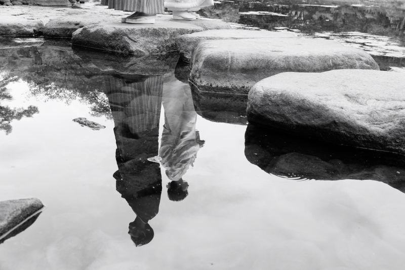 水面の景色