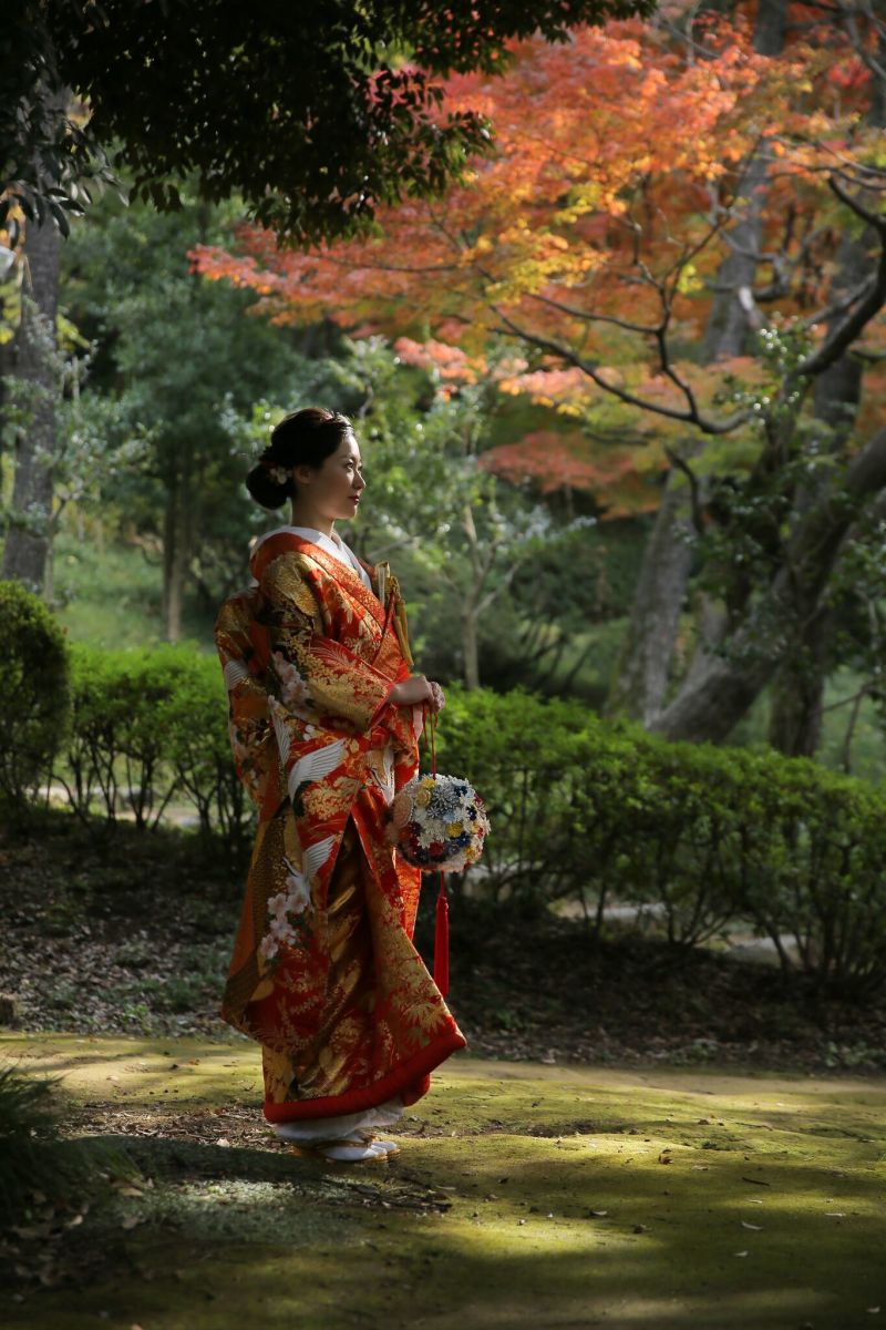 真っ赤に染まるもみじと