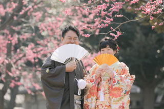 きれいに咲いた梅の花と