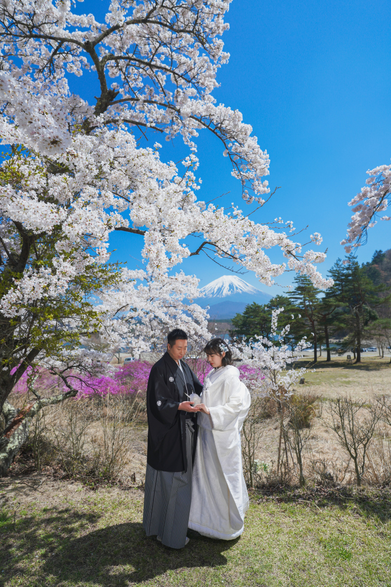 桜の隙間からのぞく富士山。