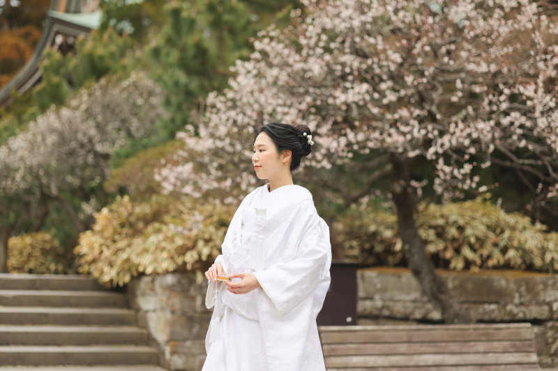 お綺麗すぎます