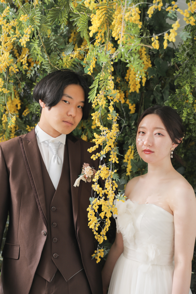 ミモザと一緒に