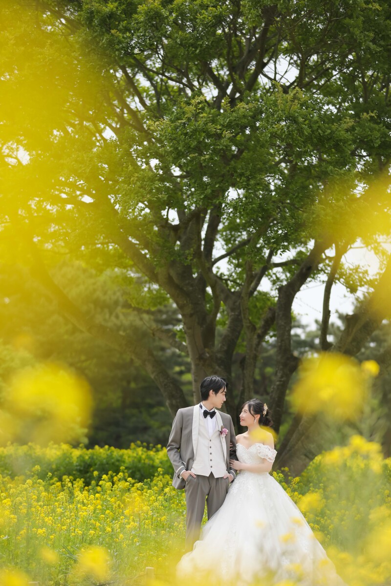 大きな木の下で