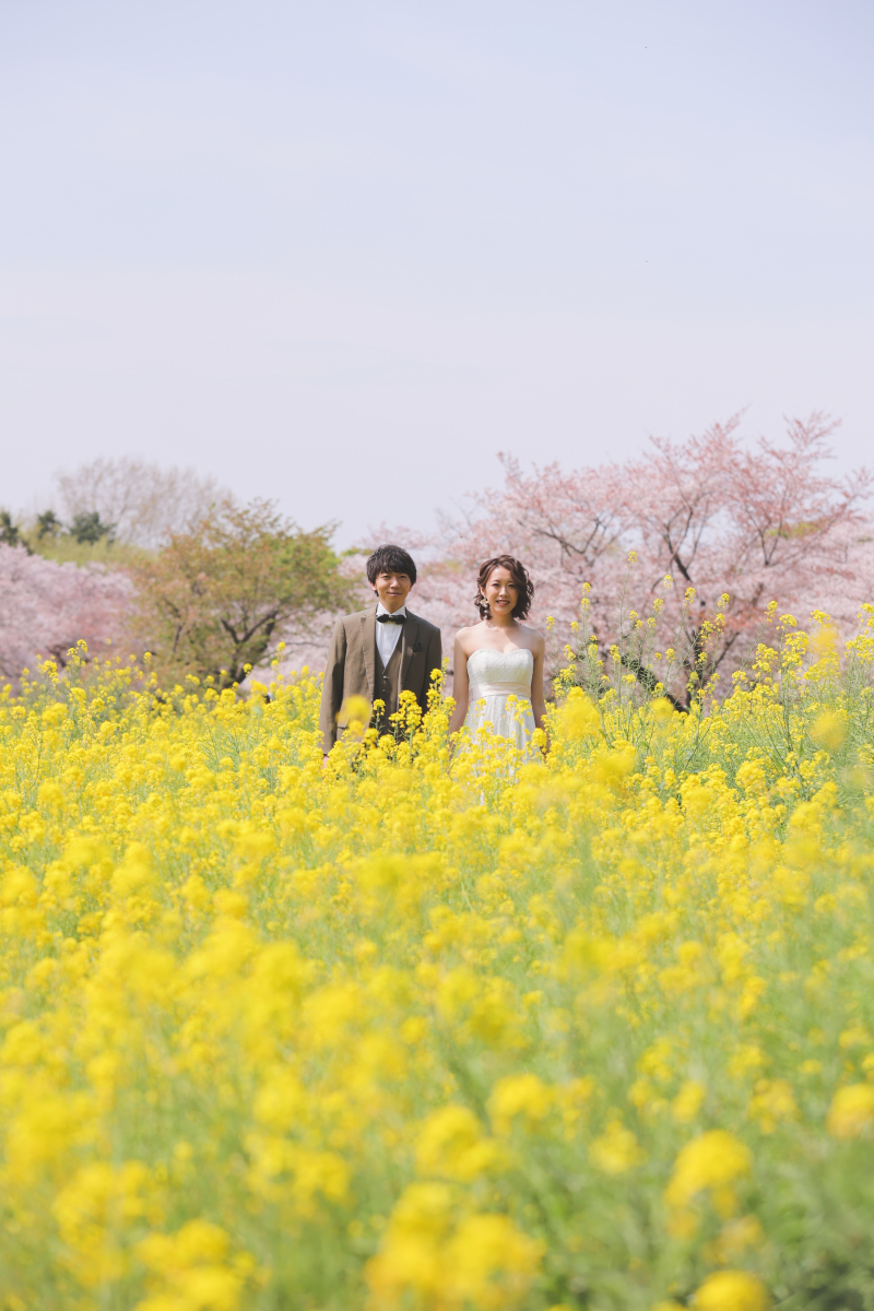 菜の花が綺麗な時期☆