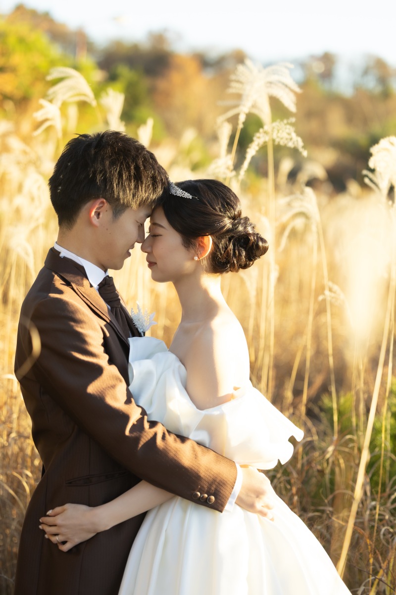 ススキに囲まれて