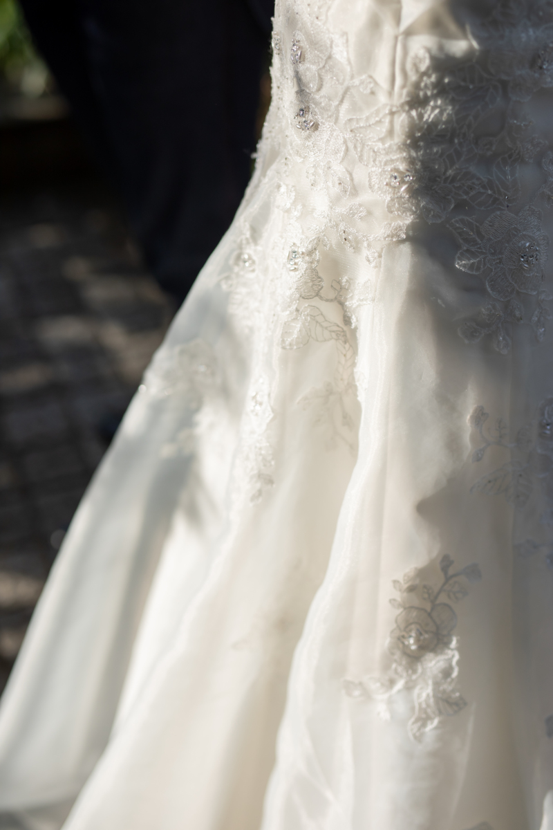 イメージカット