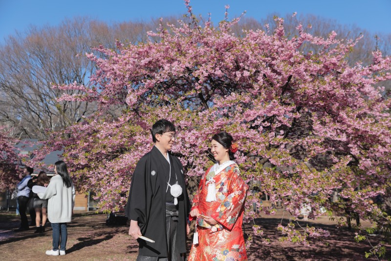 満開の河津桜の下で