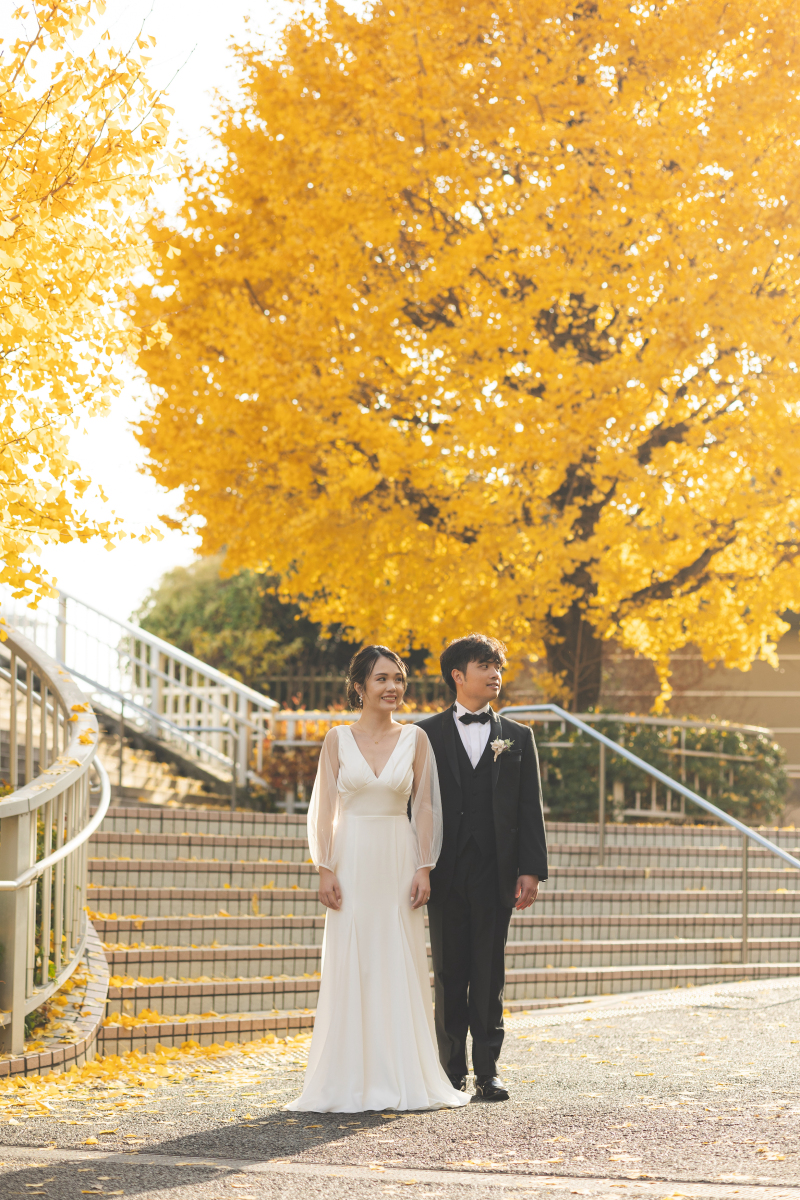 めちゃくちゃ綺麗なイチョウ！！