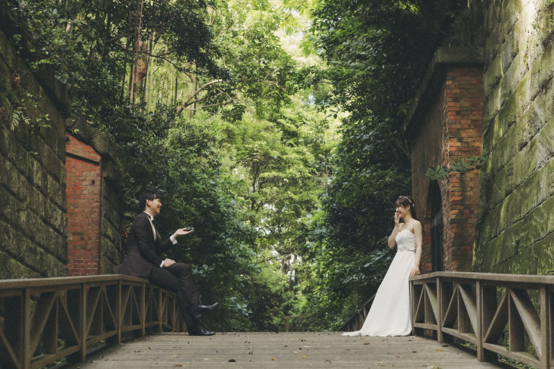 山の中は緑がめちゃくちゃ綺麗。