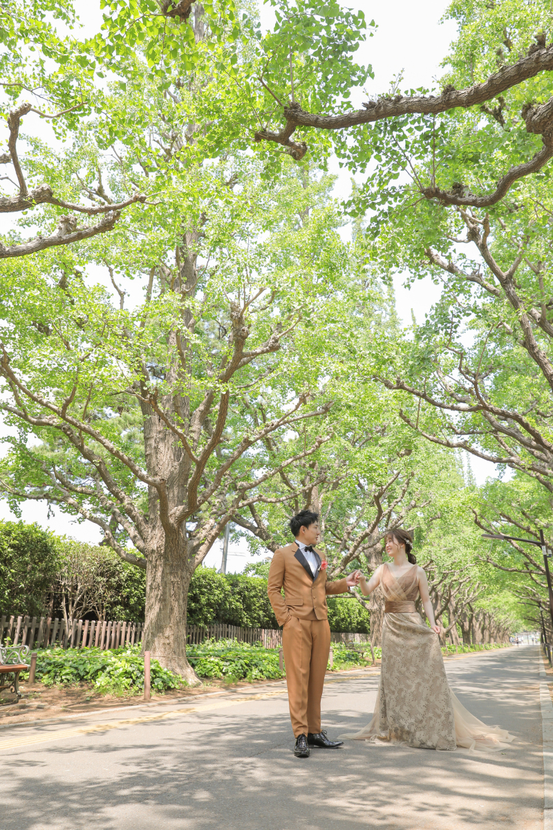 全体の風景が見えるお写真も