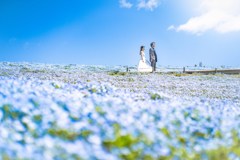 ひたちならではの広さを活かして♪