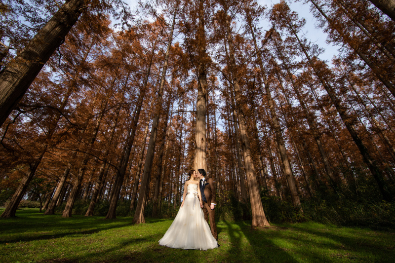 ご紹介したいお写真ばかりですっ