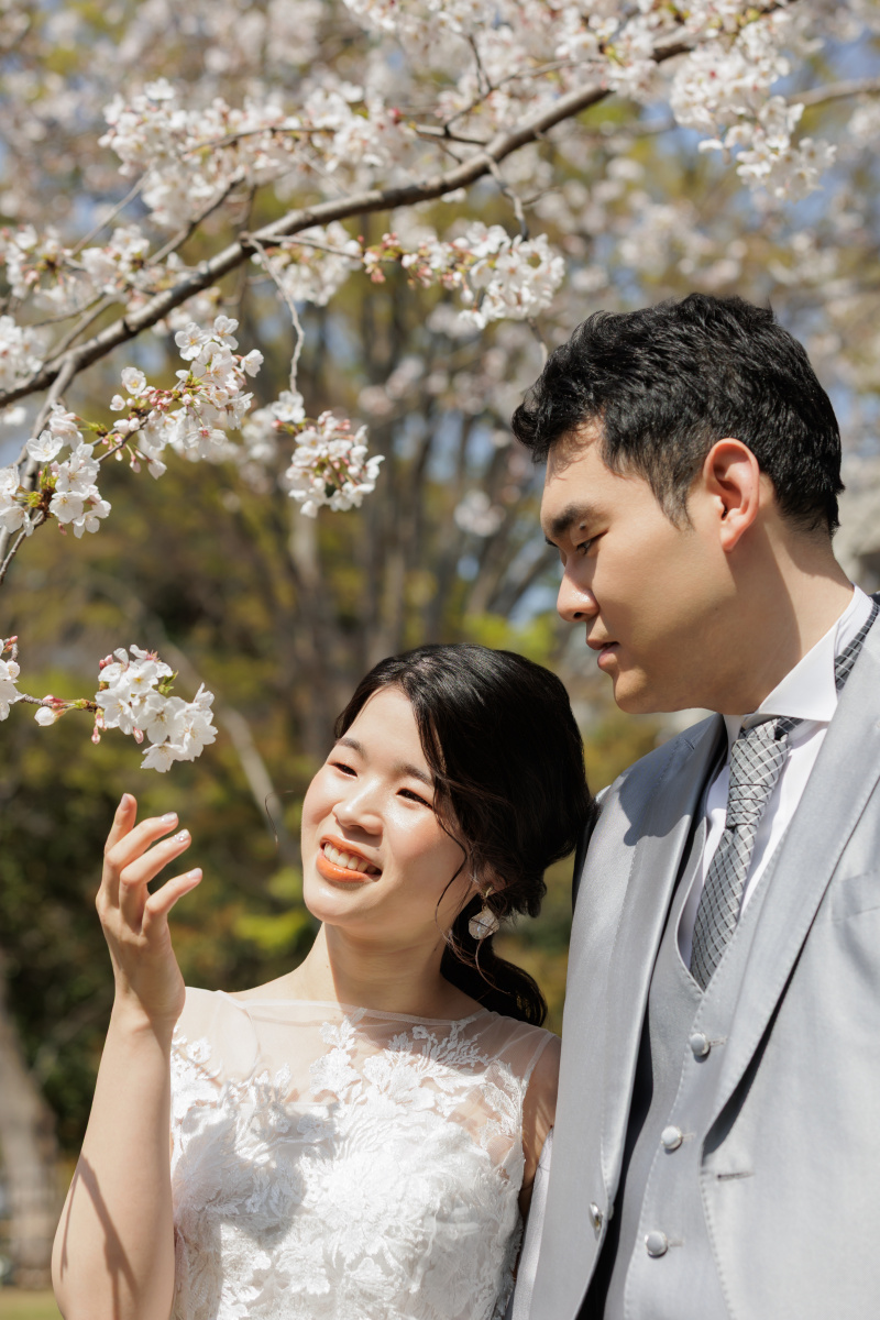 桜に手を添えて
