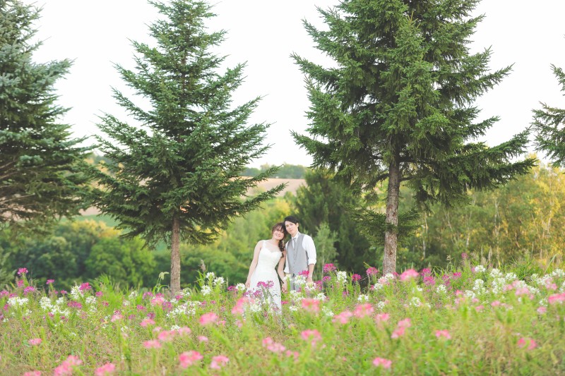 モミの木とクレオメ❀