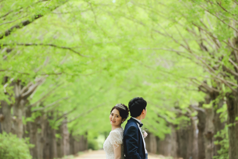 イチョウ並木道。