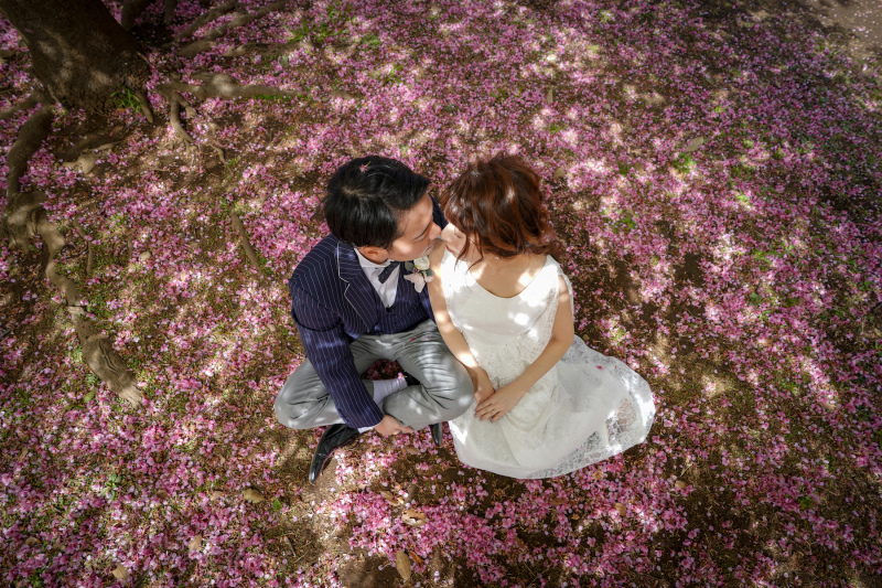 河津桜の絨毯で