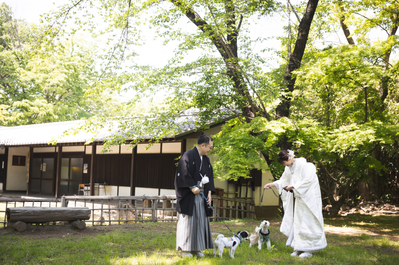 みんなで楽しんでる姿が愛おしすぎている、、