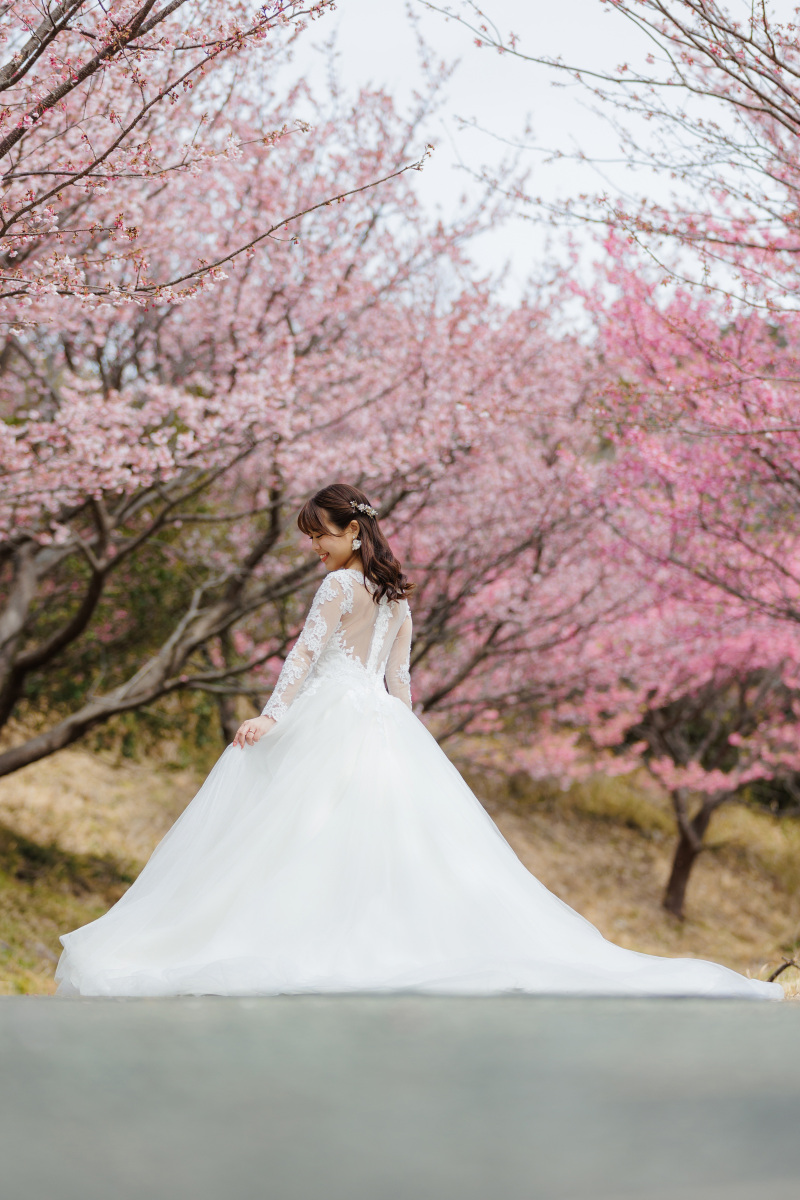 桜とご新婦さま