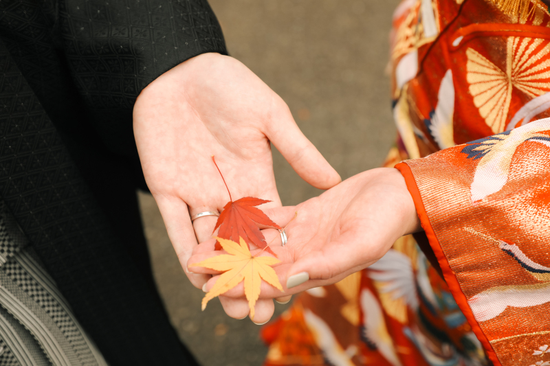 季節感ある写真