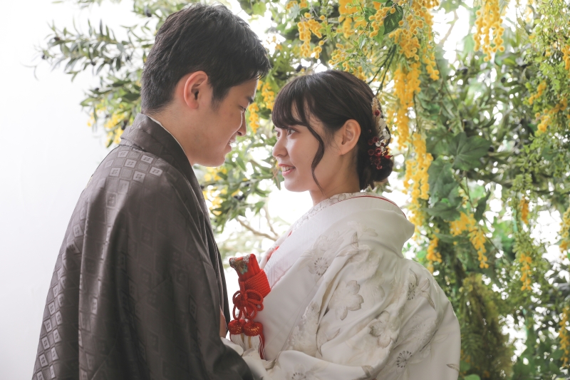 逆光でふわっと