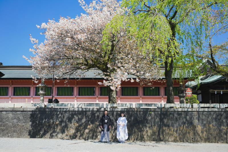 桜の木の下で。