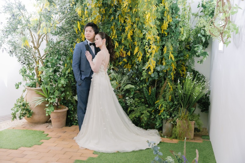 ミモザの背景！