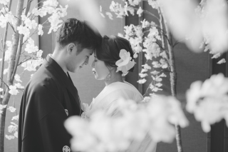 春 ✕ 屋内庭園