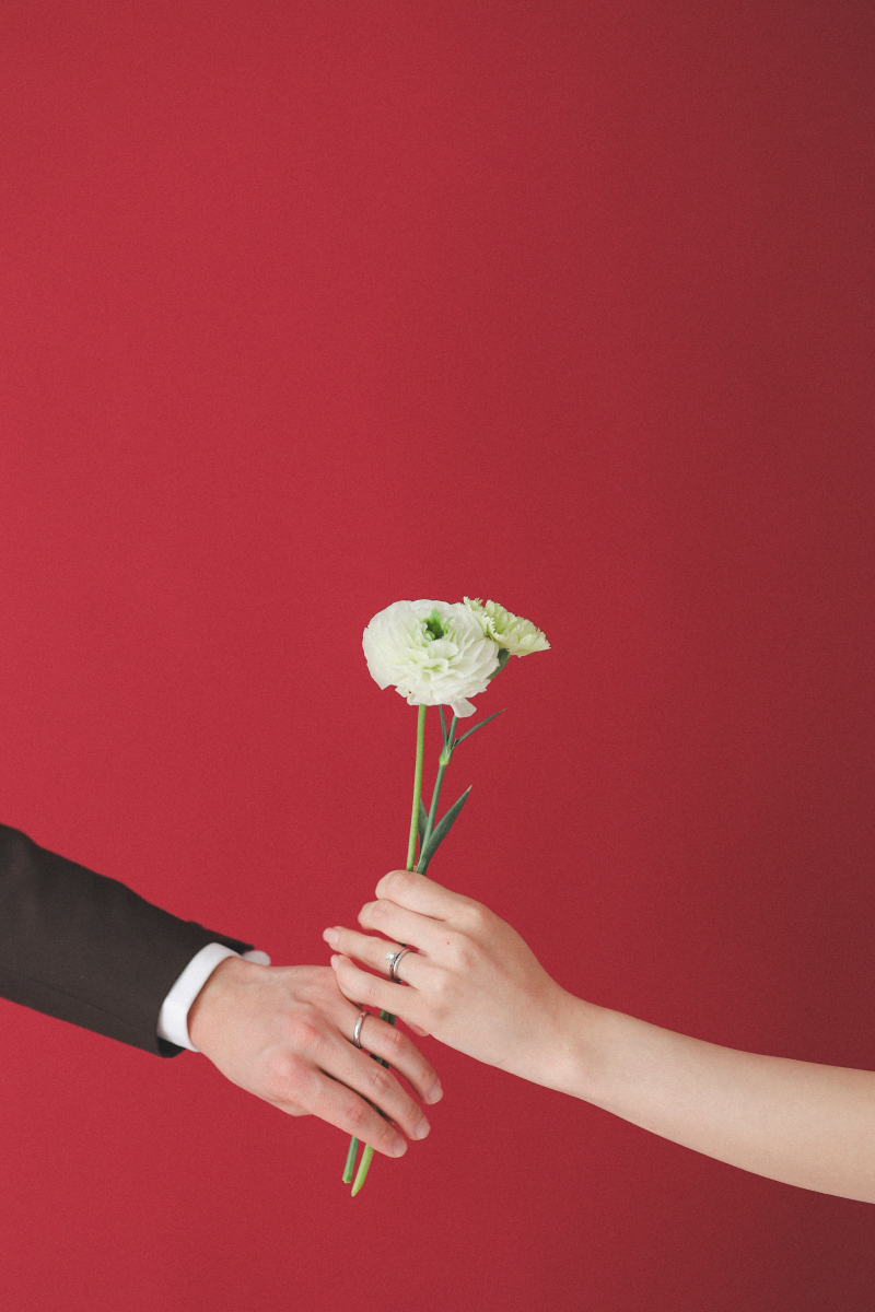 赤の背景紙オシャレです